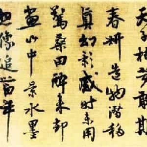 会员头像