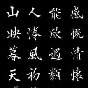会员头像