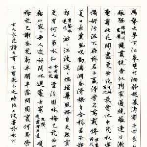 施初妍的头像