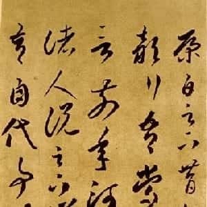 会员头像