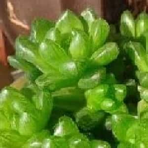 余千益的头像