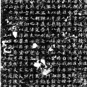 会员头像