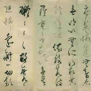 会员头像