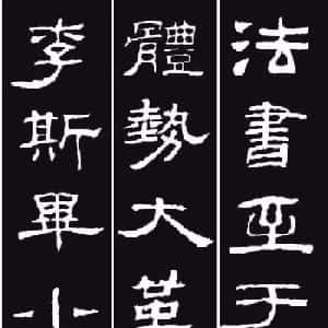 会员头像