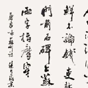 会员头像