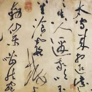 杨清雅的头像