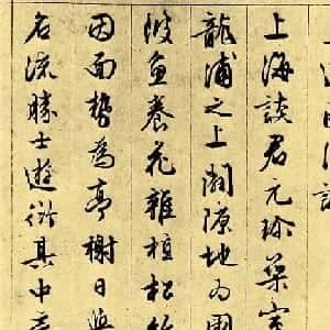 会员头像