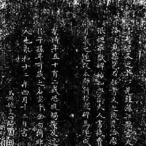 万岳函的头像