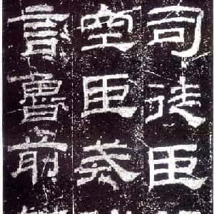 会员头像