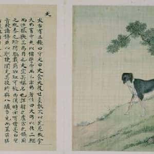 regina的头像