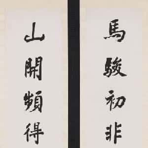 会员头像
