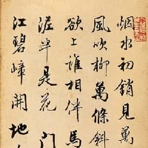 会员头像