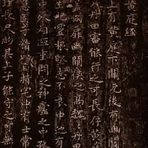 阎萱萱的头像