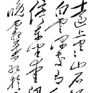 aiden的头像