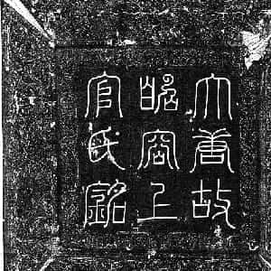 会员头像