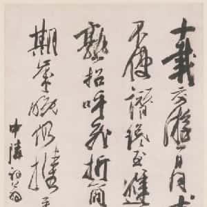 会员头像