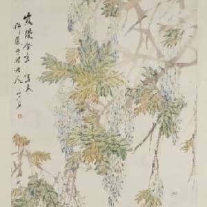 会员头像