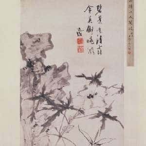 会员头像