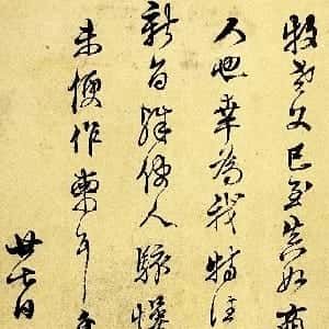 郑雨菲的头像
