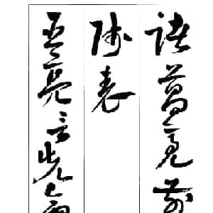 会员头像