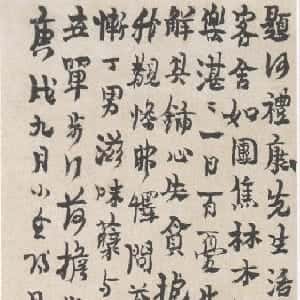 赵泽译的头像