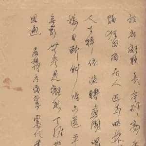 潘微禾的头像