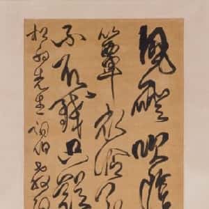 会员头像