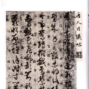 阮素莹的头像