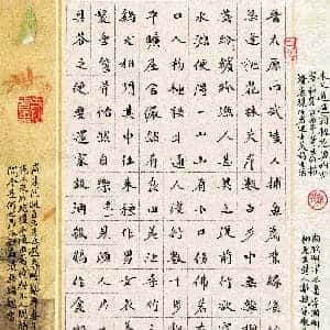 reya的头像