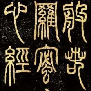 会员头像