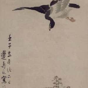 ramiel的头像