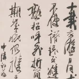 会员头像