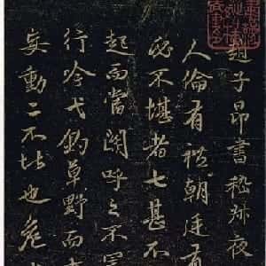 会员头像
