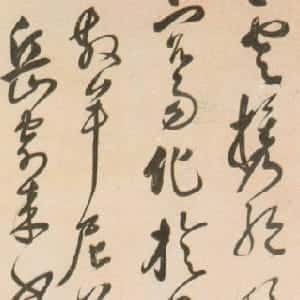 曹昕安的头像