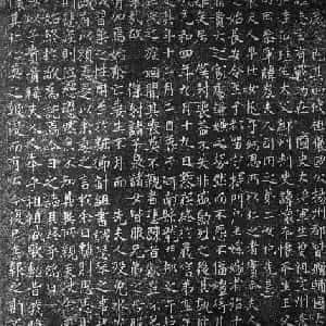 梁晨薇的头像