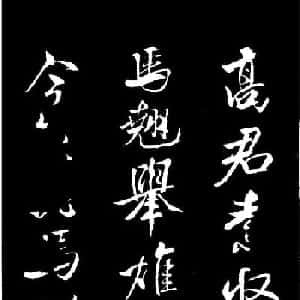 会员头像