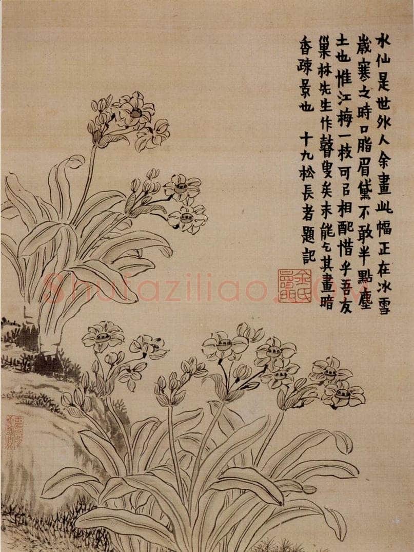 年代不详 金农 《花卉册》 书画作品