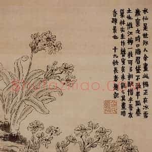 金农《花卉册》国画花鸟写意作品图片赏析