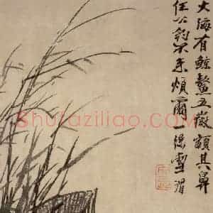 徐渭《花卉人物图册》国画花鸟作品图片赏析