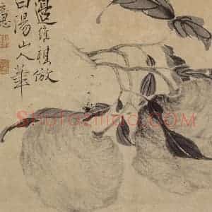 清代 边寿民《瓜果图》国画花鸟写意作品图片赏析