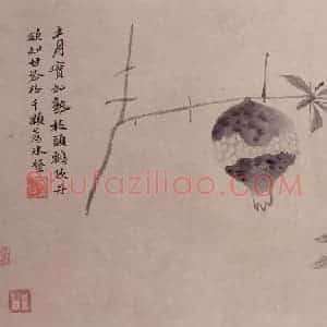 明代 沈周《观物之生图册》国画花鸟作品图片赏析