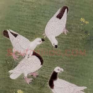 1985年 金鸿钧《暖阳》国画花鸟作品图片赏析