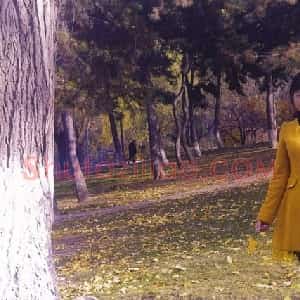 李翠翠