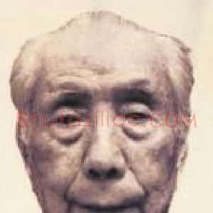 楚图南