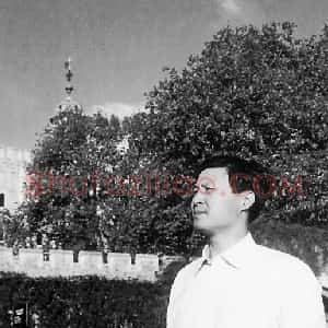 陈洪武