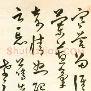邵弥