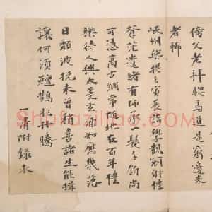 杨一清