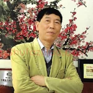南岭梅