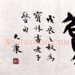康殷《康殷书法》现代书画作品图片赏析