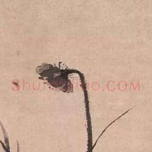 徐渭《徐渭墨荷大写意》明代书画作品图片赏析